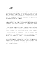 싸이월드 경영전략 성공사례-2