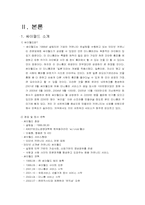싸이월드 경영전략 성공사례-3