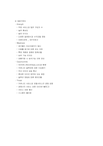 싸이월드 경영전략 성공사례-10