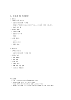 싸이월드 경영전략 성공사례-11