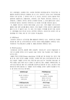 애플의 마케팅전략-5