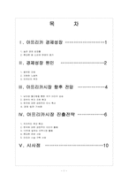 [아프리카]아프리카 경제성장, 아프리카 진출전략과 향후 전망-2