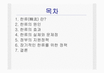 [문화행정론] 한류열풍과문화정책-2