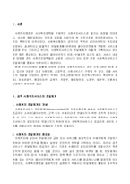[사회복지행정론] 우리나라 공적 사회복지서비스 전달체계의 문제점과 개선방안-2