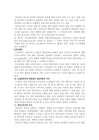 레지오에 대해서-8