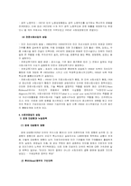 [사회복지발달사] 미국의 사회복지 발달의 배경과 발달사-6