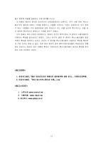 [국제커뮤니케이션] 일본 대중문화의 혁신 수용자 연구서-14
