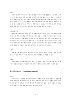 성병에 대한 레포트(정의, 종류, 예방책 등)-11