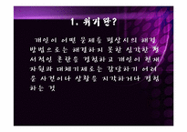 위기개입모델보고서,위기개입모델의 실천과 개입사례 파워포인트 PPT-3