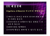 위기개입모델보고서,위기개입모델의 실천과 개입사례 파워포인트 PPT-18