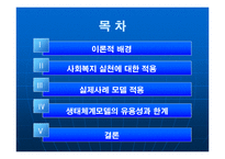 생태체계모델이론 및 단일사례적용사례와 개입과정사례적용 파워포인트 PPT-2