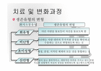 경험적가족치료 이론 및 치료사례와 시연 파워포인트 PPT-12