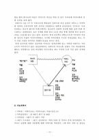 경험적가족치료 이론 및 치료사례와 시연 보고서-14