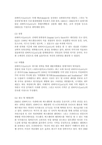 ‘리바이스(Levis)’ 마케팅전략 분석 및 차별화전략-8