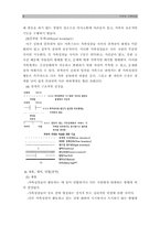미누친(Minuchin)의 구조적가족치료 이론 및 사례연구 보고서-8