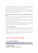 장애인복지정책(주제:대한민국의 장애인으로 산다는 것) 보고서-8