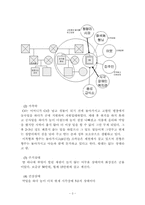사례관리개입(인테이크, 사정, 개입계획, 11회기 방문일지 수록) 보고서-3
