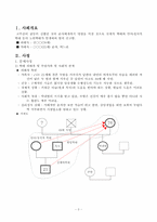가족치료사례(사정와 개입, 구조적가족치료모델을 통한 해석)보고서-3