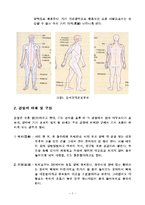 인체 경락, 경혈의 이해 -경락마사지를 중심으로--2