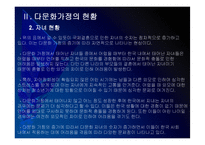 [다문화가정]다문화 가정의 원인, 문제점과 해결방안(다문화 가정의 문제점과 대책) PPT자료-11