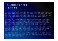 [다문화가정]다문화 가정의 원인, 문제점과 해결방안(다문화 가정의 문제점과 대책) PPT자료-13