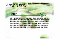 웰빙 두부 사업계획서-4