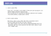 전략경영-자전거산업분석-2