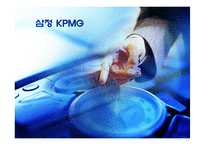 기업정보KPMG 레포트-1