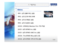 기업정보KPMG 레포트-3