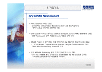 기업정보KPMG 레포트-15