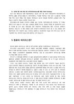 해킹의 종류와 특징-9