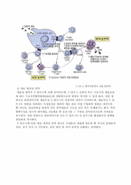 면역기전 레포트-3
