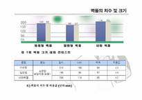 건축시공학-벽돌공사-5