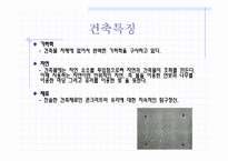 건축가 안도다다오-5