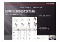 피터아이젠만 레포트-6