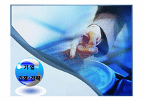 경영정책-전략과경쟁-2