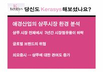 마케팅전략과계획과 마케팅사례-13