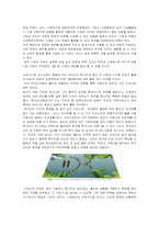 경영정책과 전략스왓분석-4