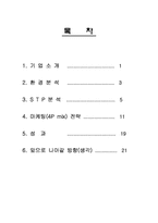 민들레영토 레포트-2
