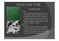유산균에 대해서 유산균의 이용-3