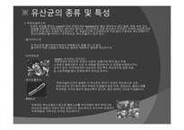유산균에 대해서 유산균의 이용-11