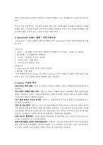 컨버스 경영분석 레포트-3