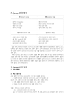 컨버스 경영분석 레포트-4
