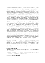 컨버스 경영분석 레포트-8
