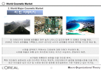 로레알과아모레퍼시픽의조직구조비교-7