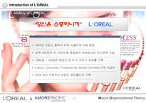 로레알과아모레퍼시픽의조직구조비교-13