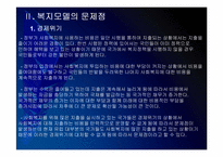 [사회복지]유럽 사회복지모델의 문제점과 해결방안 PPT자료-10