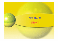 사회복지 개론(가족복지)-20