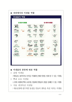 인간생활과 미생물의 관계-8