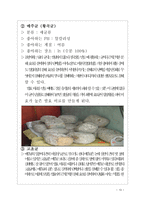 인간생활과 미생물의 관계-13